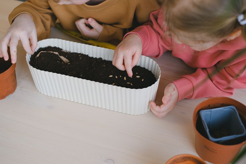 Children planting seeds in a planter box